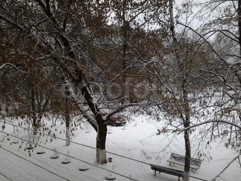 Первый снег