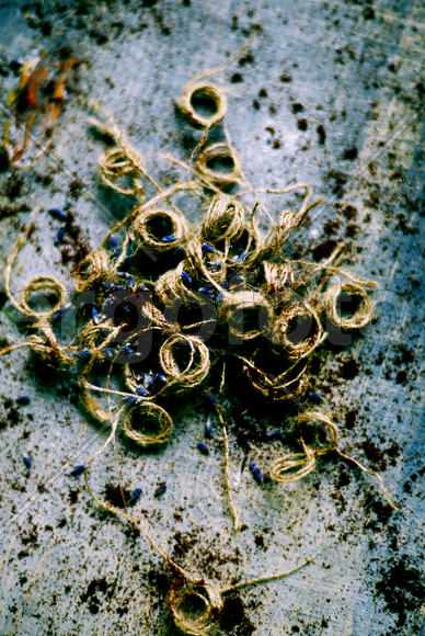 Композиция