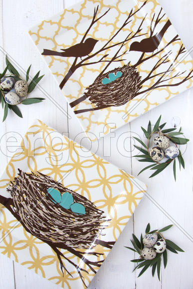 Тарелки птицы и гнезда