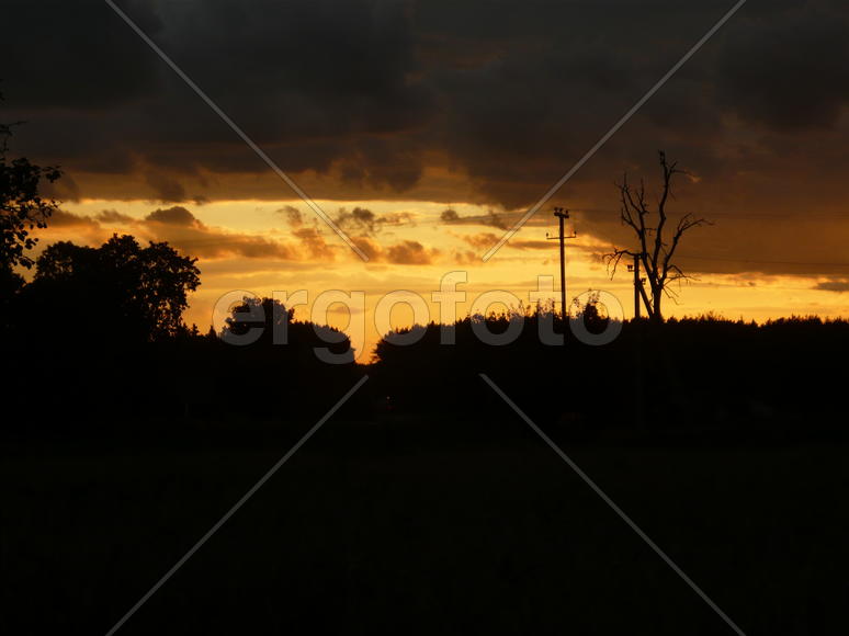 желтый, яркий закат