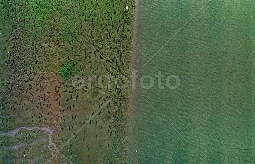 Из серии "Дуализм"