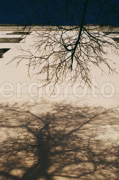 Из серии "Тени".