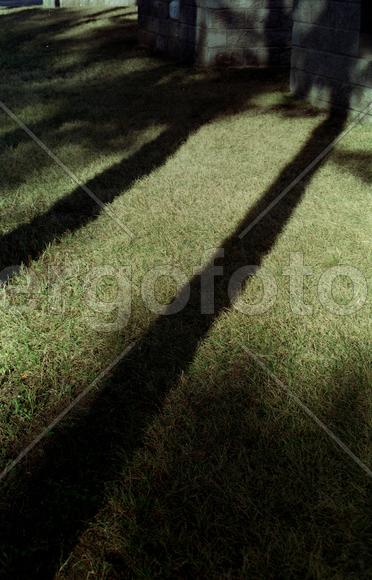 Из серии "Тени".