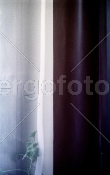 Из серии "Дуализм"