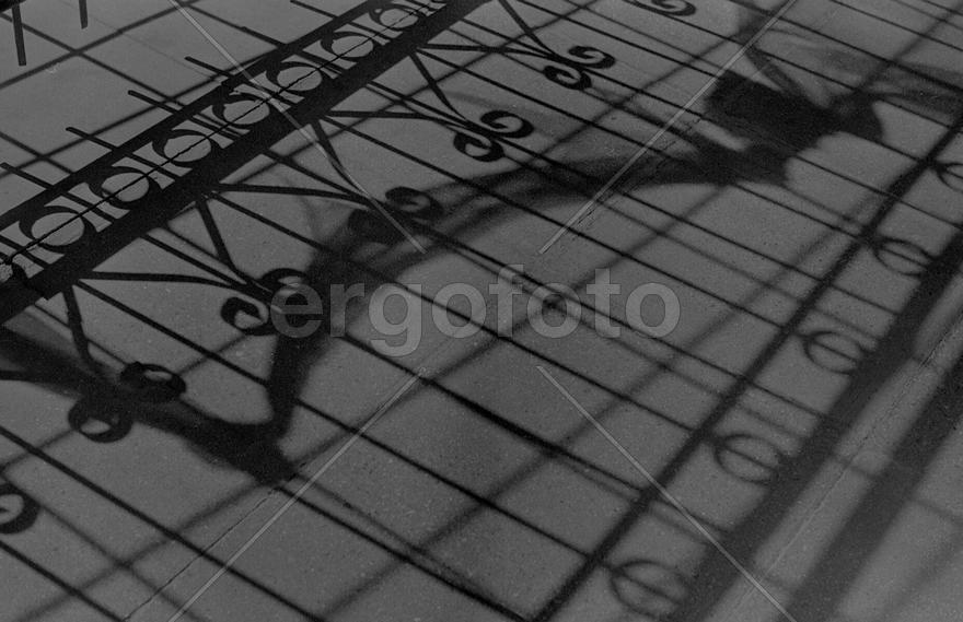 Из серии "Тени".