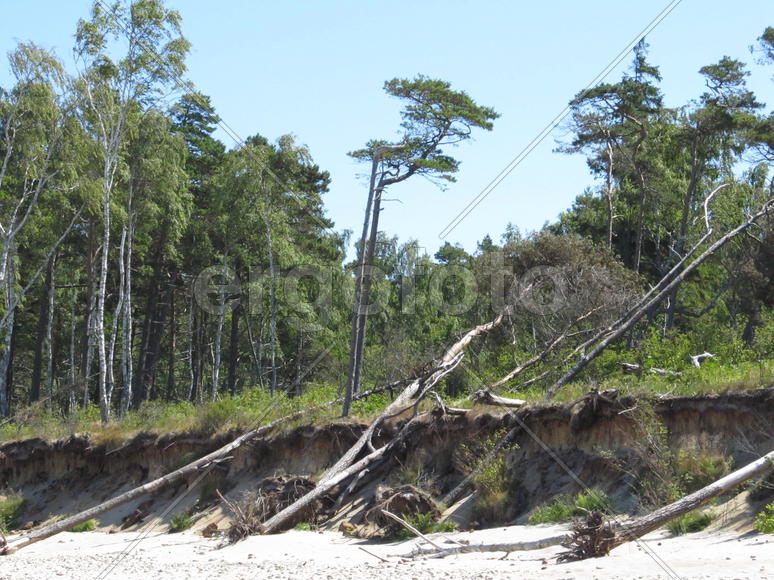 Куршская коса со стороны Балтийского моря