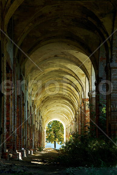 Виток времени