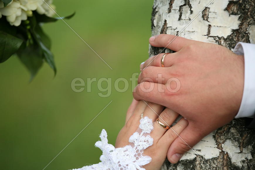 Свадебные кольца