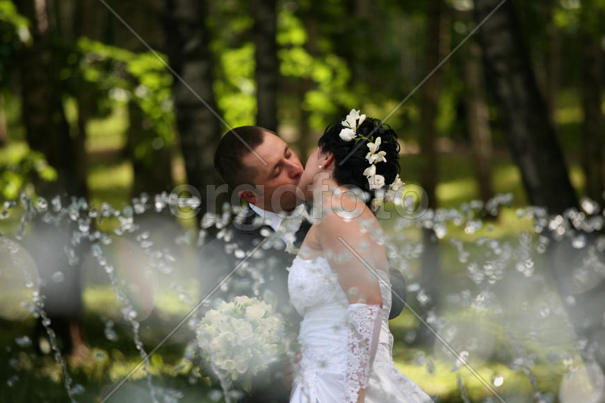 Свадебная пара