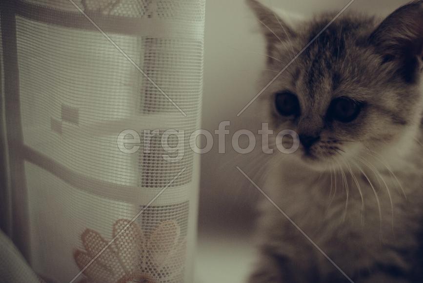 С добрым утром!