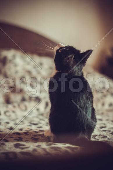 Обратная сторона