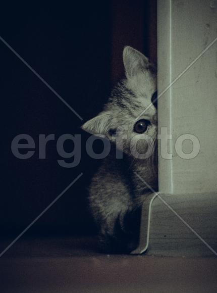 Игра в прятки