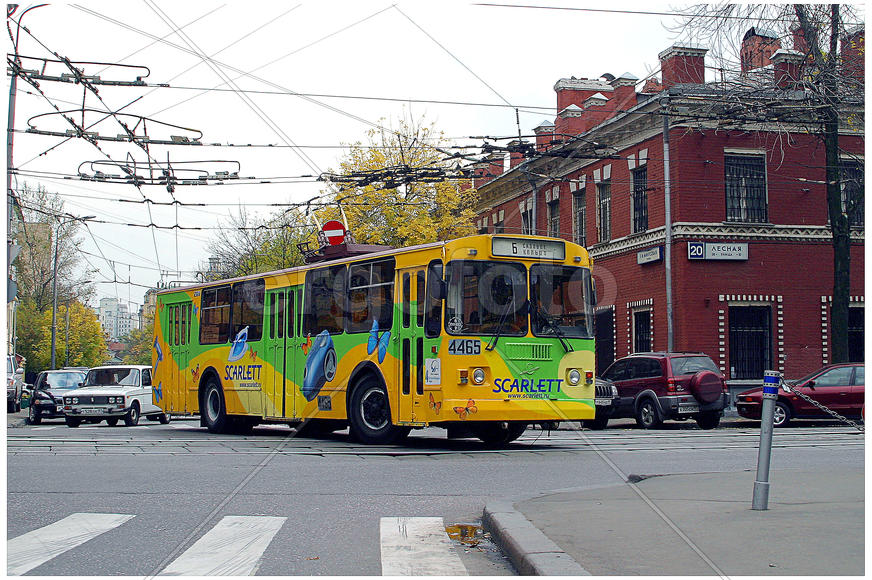 Лесная улица