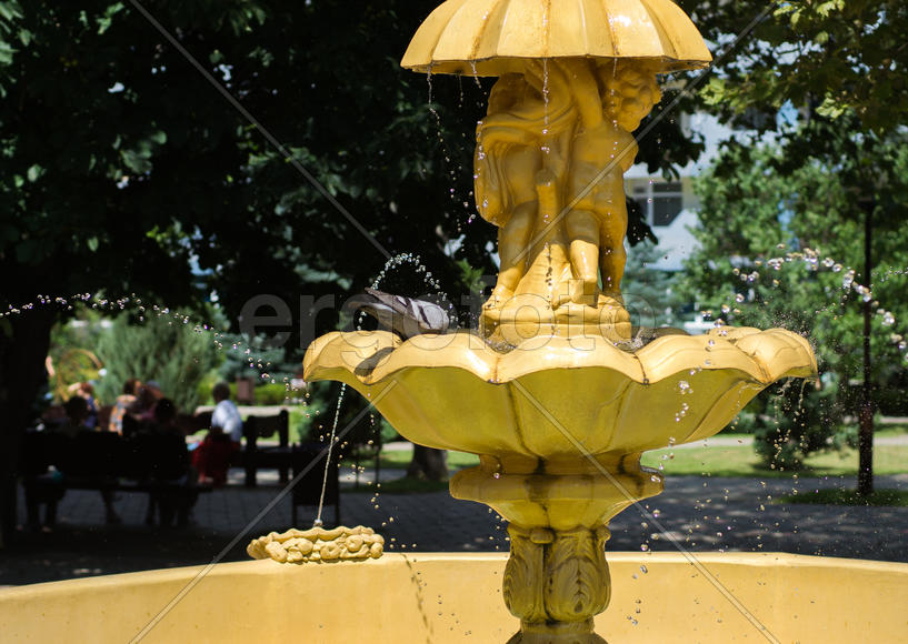 Голубь пьет из фонтана