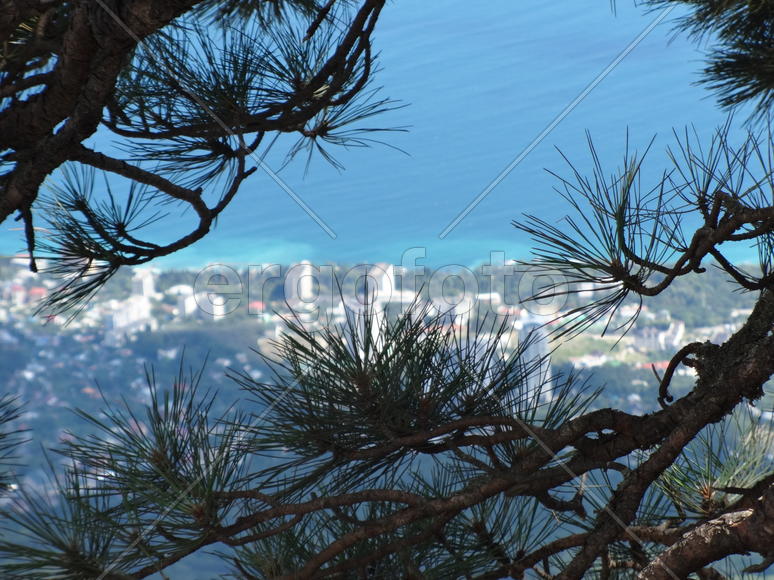 Вид с Ай-Петри