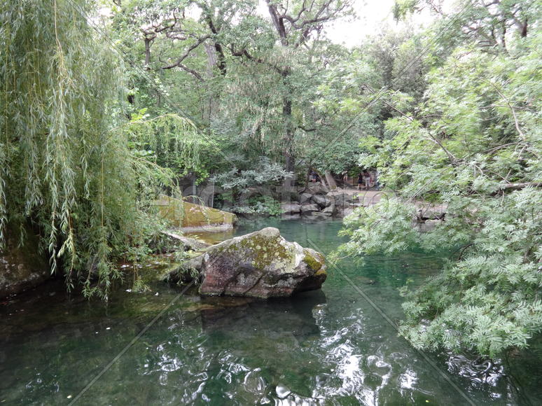 Старый пруд