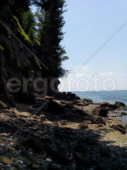 Берег за рыбзаводом