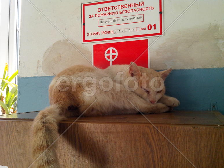 Ответственный за пожарную безопасность