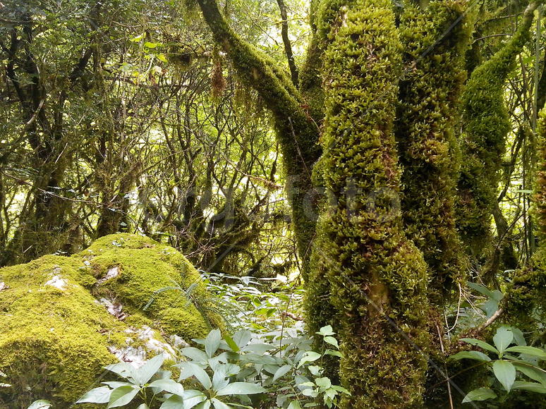 Жоэкварское ущелье