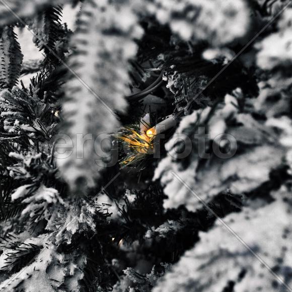 Лампочка гирлянды в ёлке