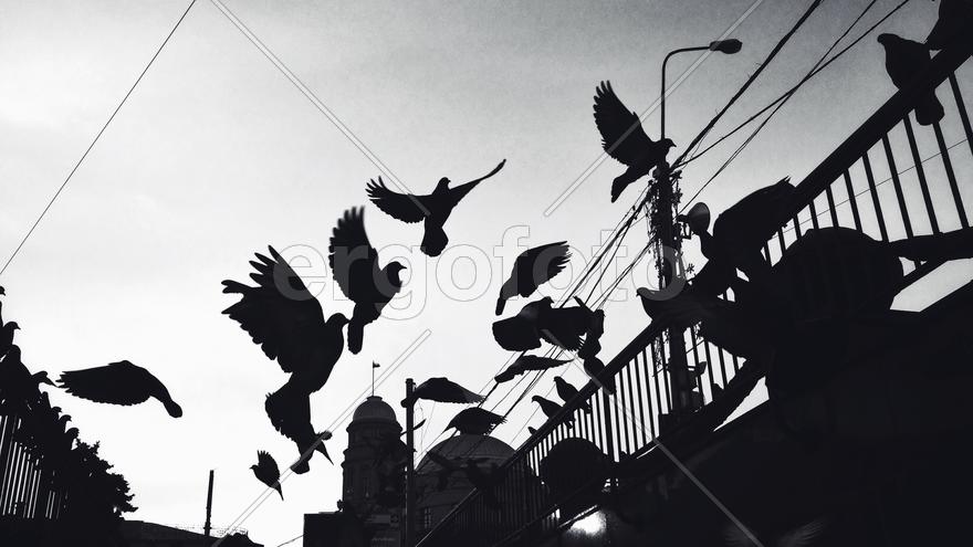 Processed with VSCOcam with f2 preset