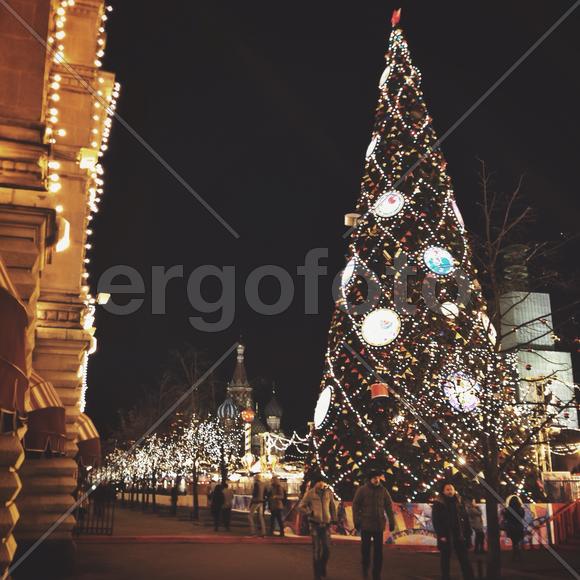 Processed with VSCOcam with t1 preset