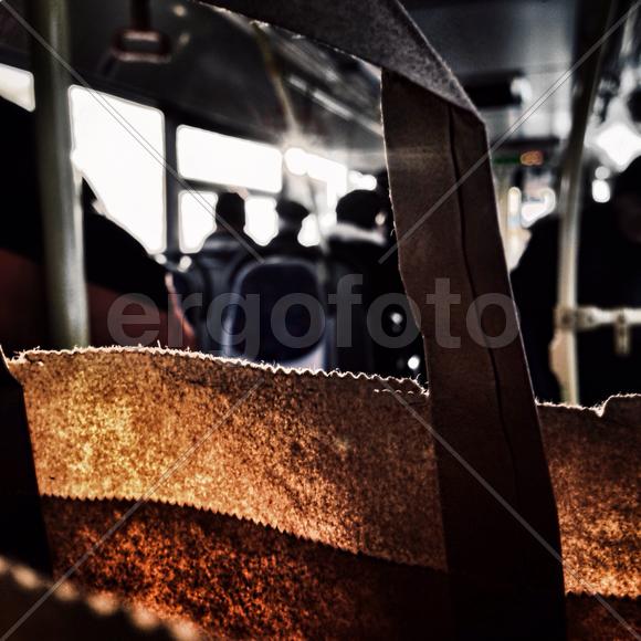 Солнечный свет