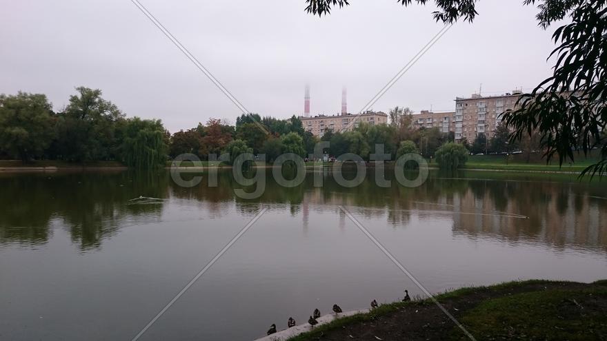 Новодевичий пруд