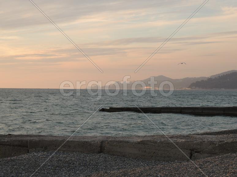 Море, пляж, Адлер