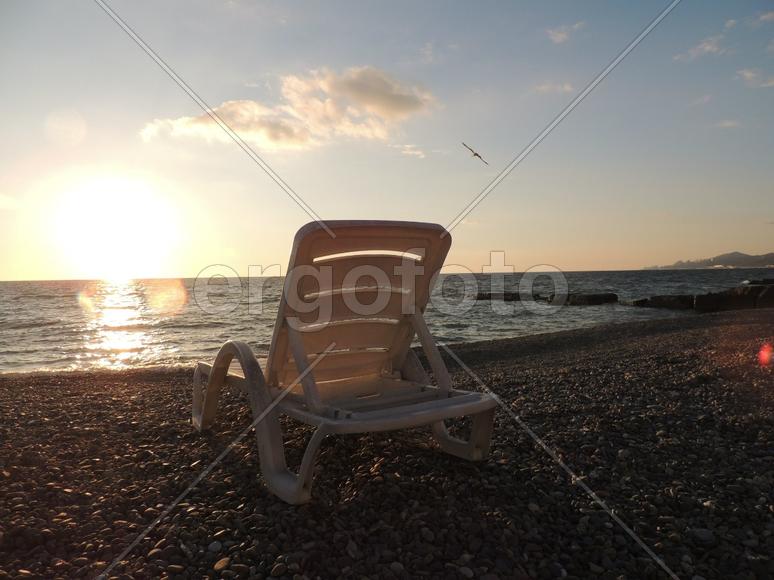 Рассвет и чайка