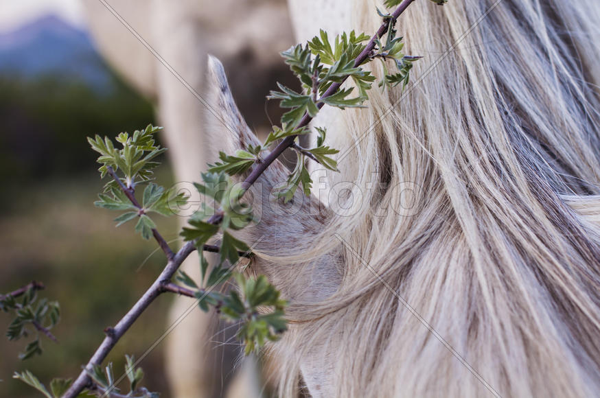 Фактуры Крыма