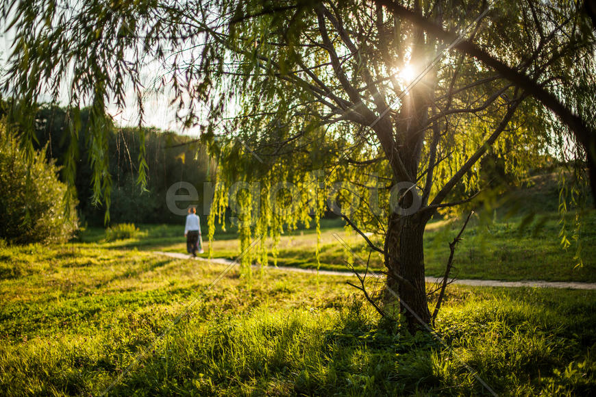Митинский парк