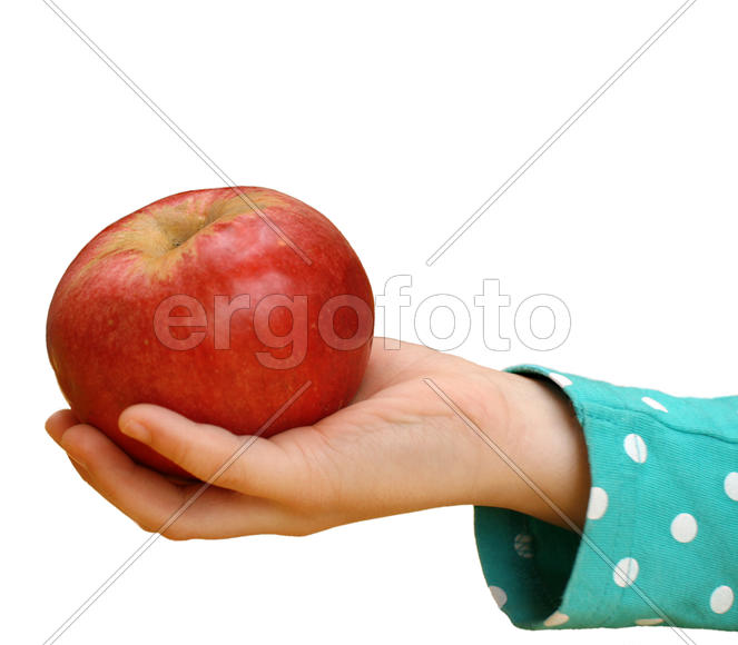 Здоровый образ жизни