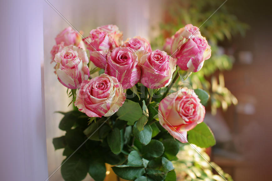 Букет мраморных роз