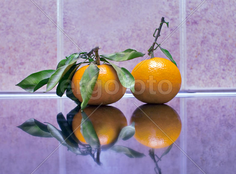 Мандарины с листочками