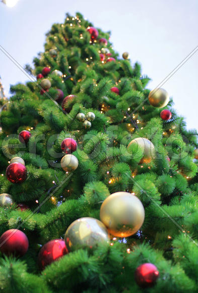 Новогодняя елочка 