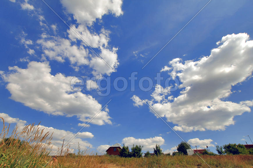 Летний день в деревне