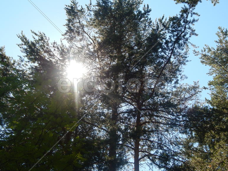 Прорывающееся свет