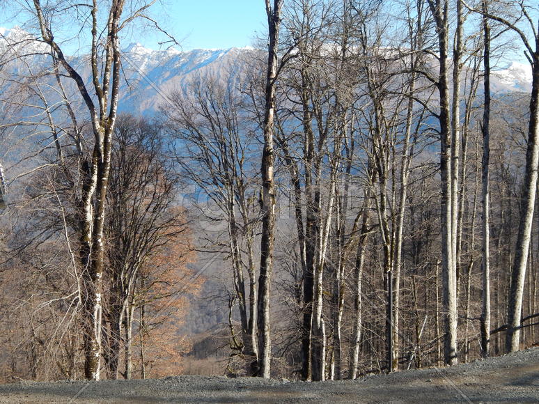 Горная природа