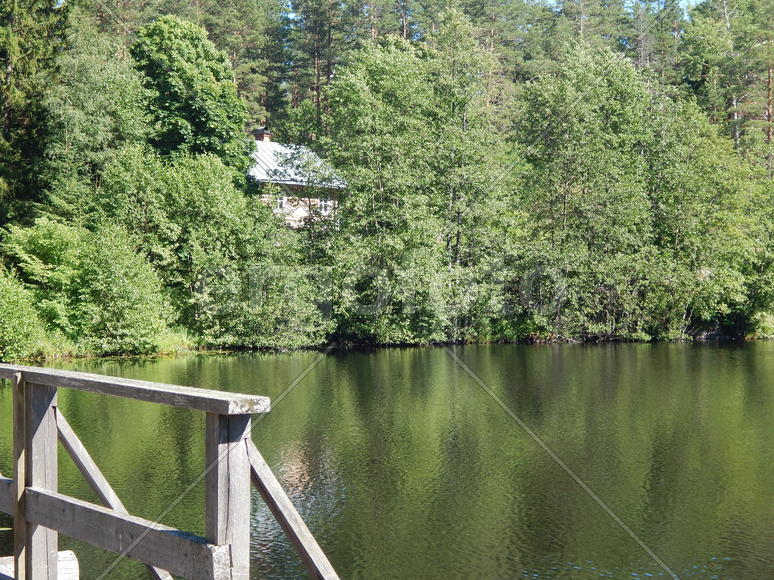 Зелёный край