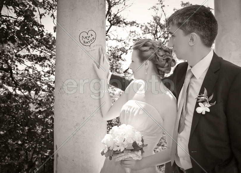 Свадьба. Пара. Любовь.