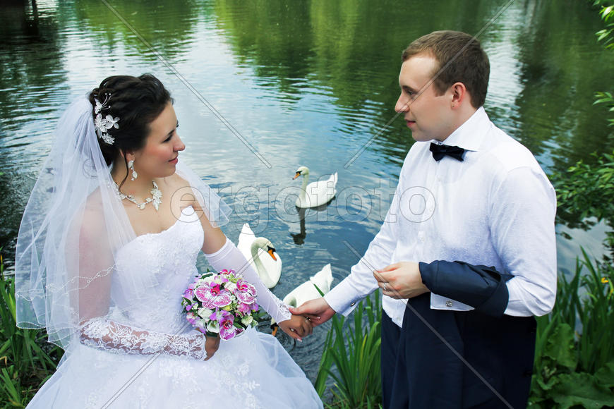 Влюбленные у воды