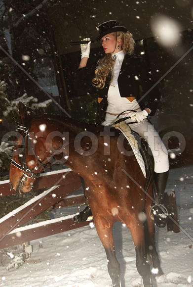 девушка на коне 