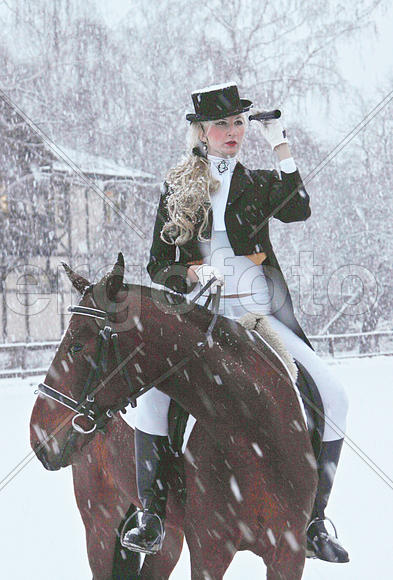 девушка на лошади