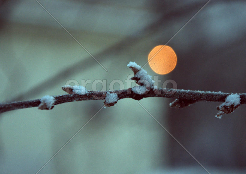 Века в инее