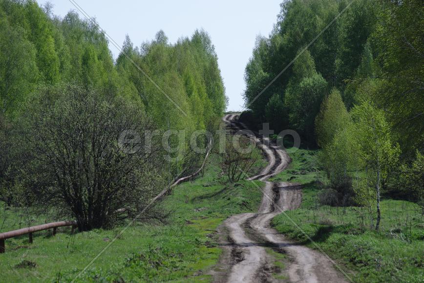 Эх, дороги...