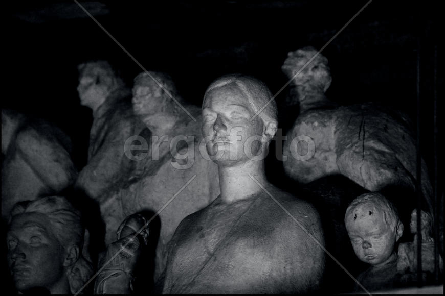 Метафизическая голова