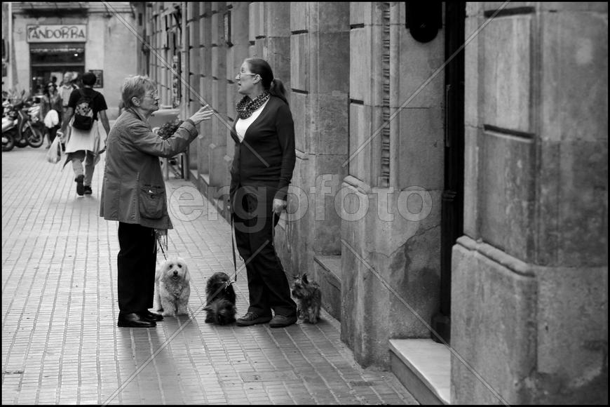 Две женщины