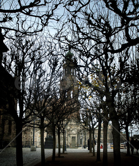 Дрезден. Городской орнамент