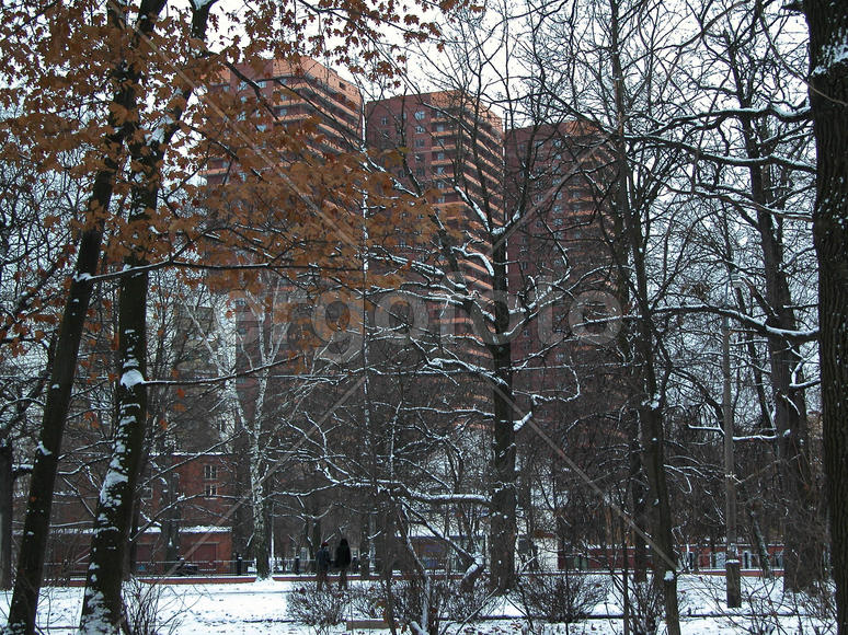 Городская пастораль